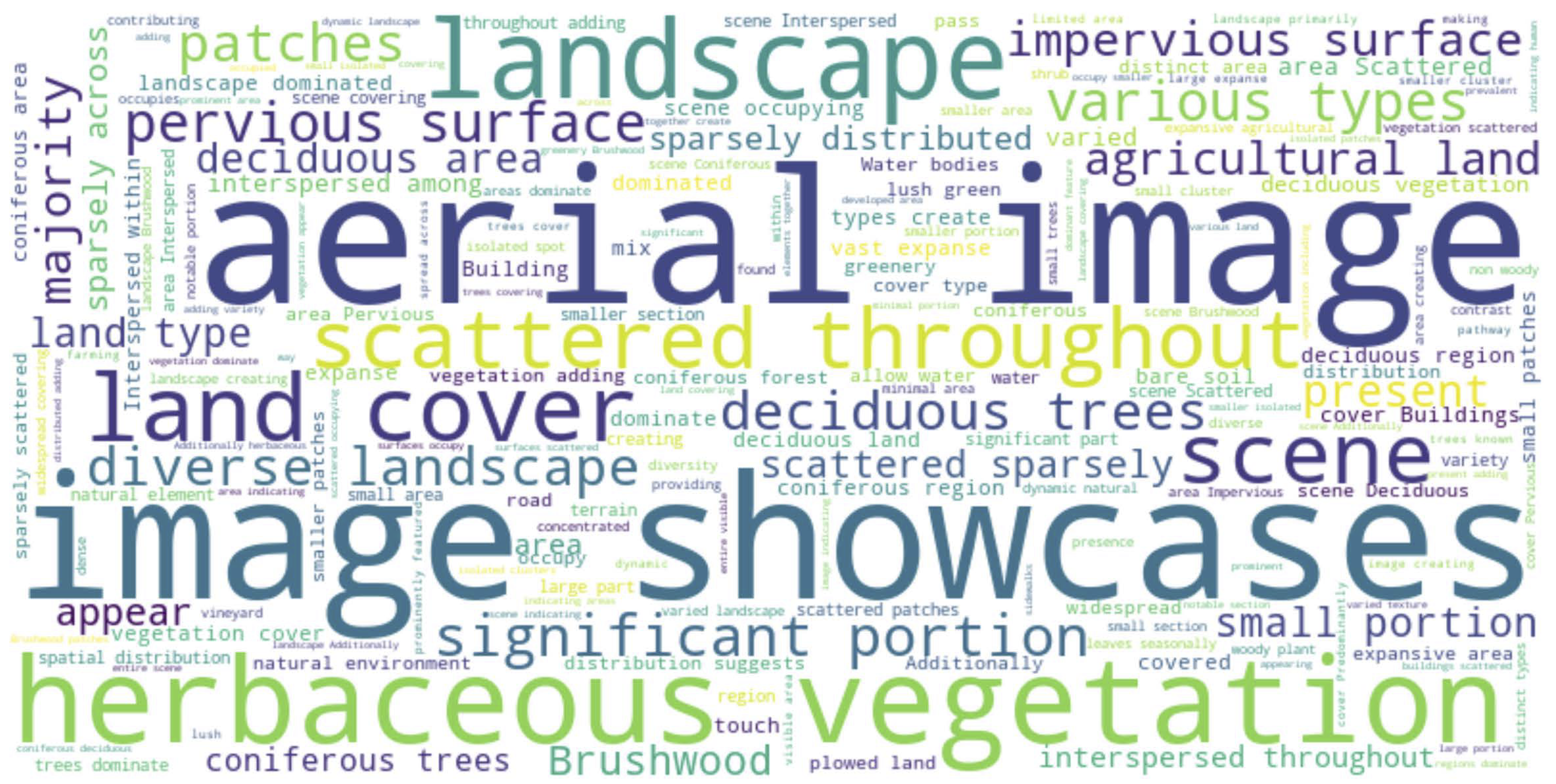 Word cloud for detailed captions in ChatFLAIR#2-DIC